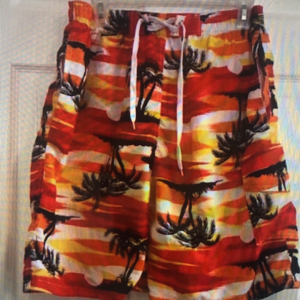 Tropical Sunset Swim Shorts